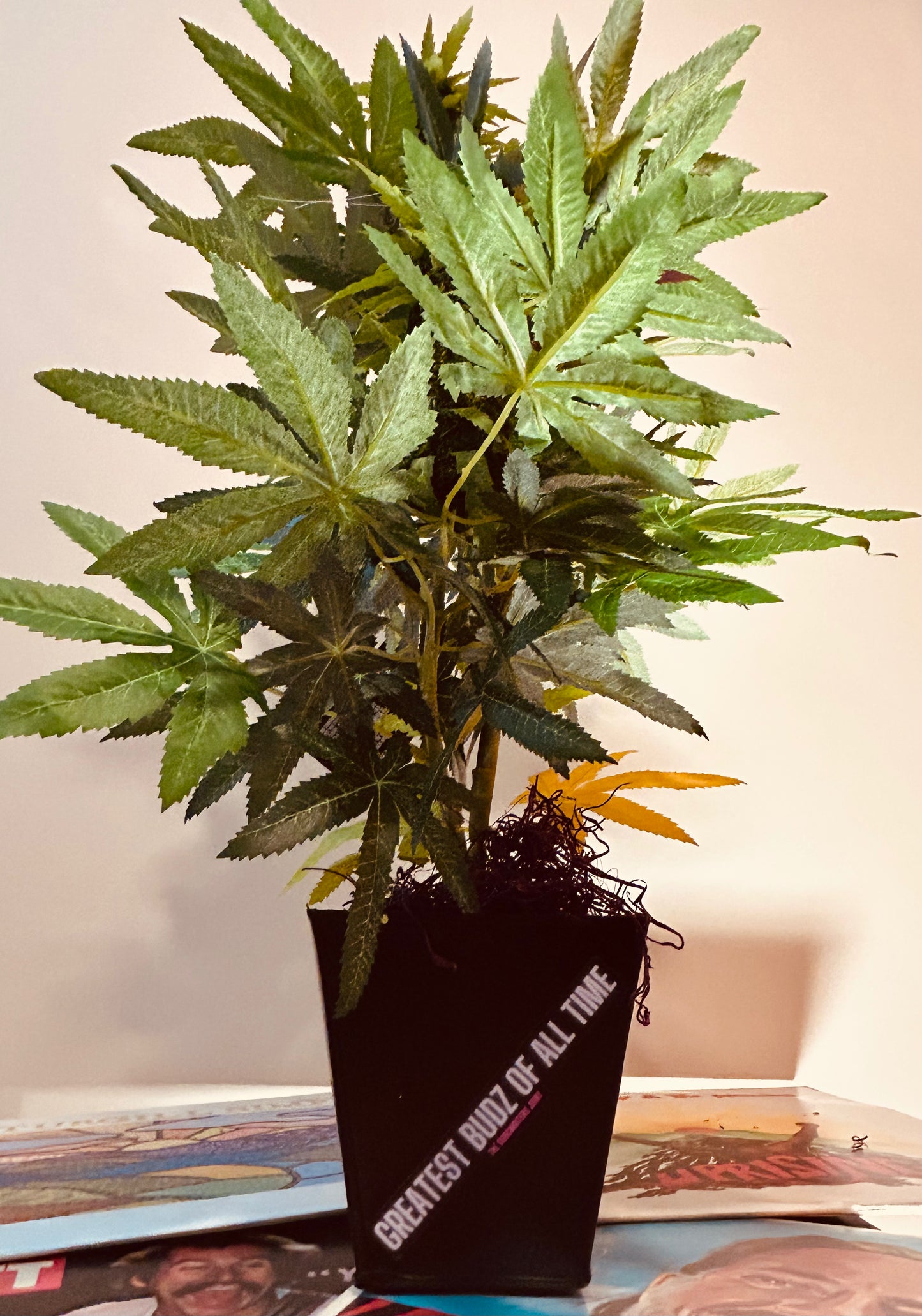 G.O.A.T. Budz Decorative Plant