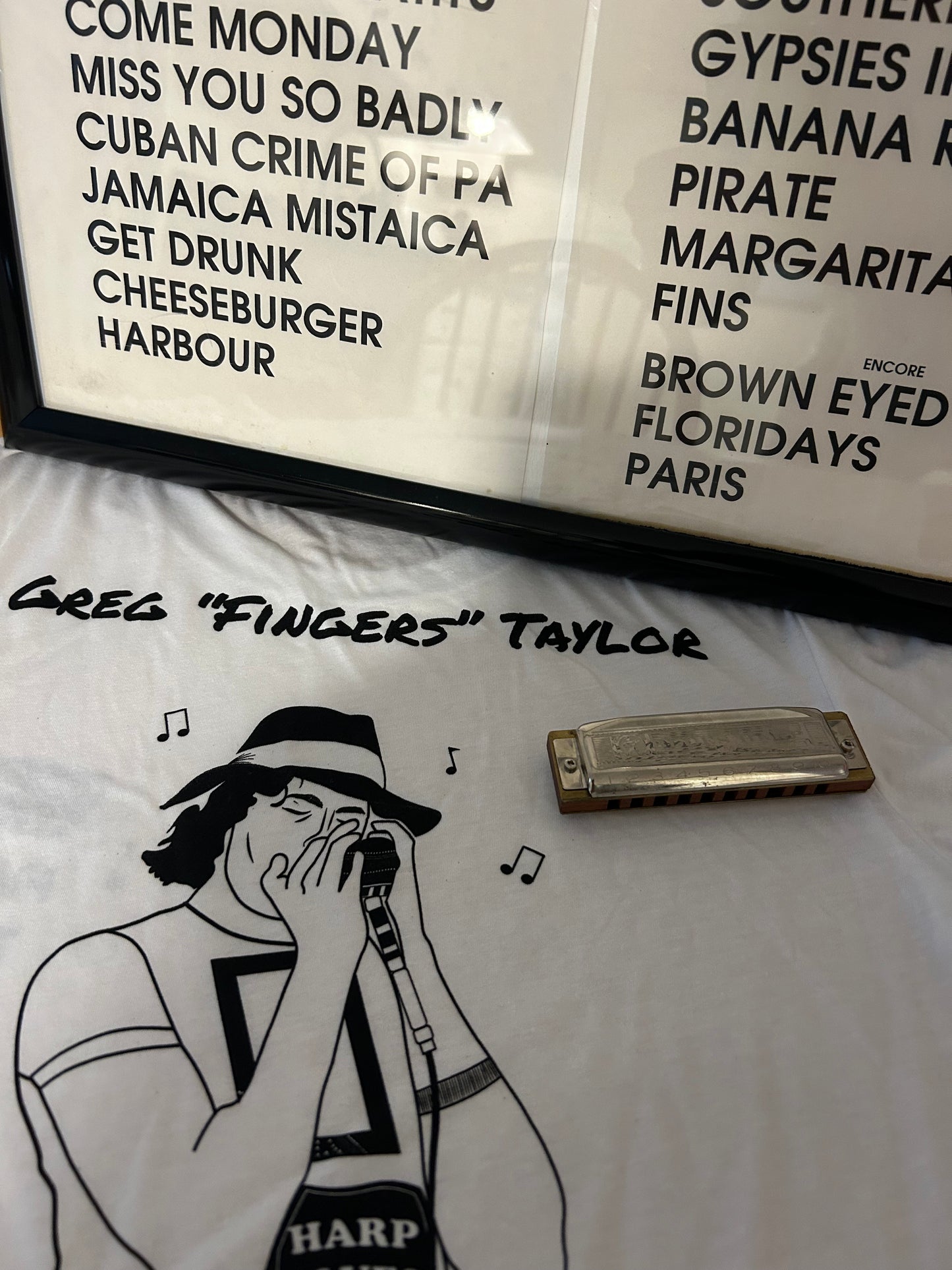 Greg "Fingers" Taylor 1998 Tour Harp