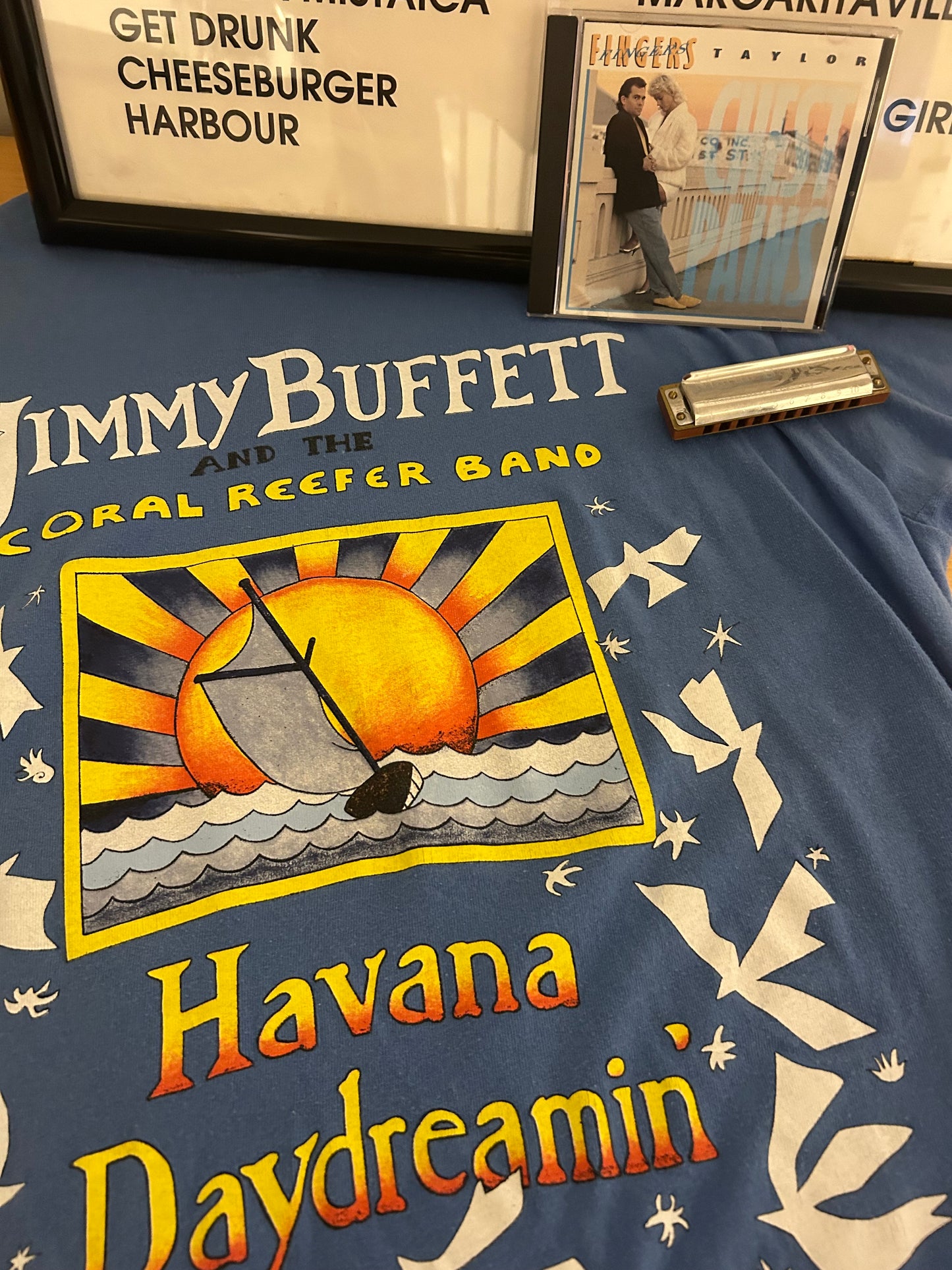 Greg "Fingers" Taylor 1997 Tour Harp